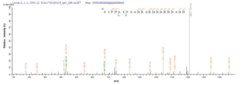 Based on the SEQUEST from database of E.coli host and target protein, the LC-MS/MS Analysis result of this product could indicate that this peptide derived from E.coli-expressed Zaire ebolavirus (strain Mayinga-76) (ZEBOV) (Zaire Ebola virus) L.