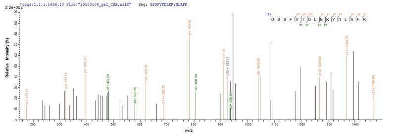 Based on the SEQUEST from database of E.coli host and target protein, the LC-MS/MS Analysis result of this product could indicate that this peptide derived from E.coli-expressed Zaire ebolavirus (strain Mayinga-76) (ZEBOV) (Zaire Ebola virus) L.