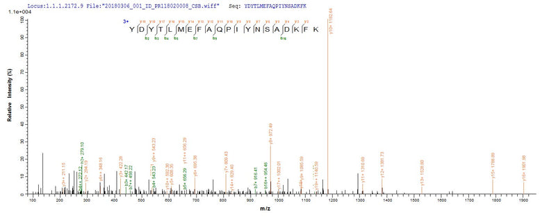 Based on the SEQUEST from database of E.coli host and target protein, the LC-MS/MS Analysis result of this product could indicate that this peptide derived from E.coli-expressed Staphylococcus aureus (strain USA300 / TCH1516) isdB.