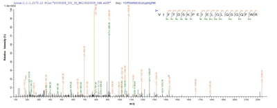 Based on the SEQUEST from database of E.coli host and target protein, the LC-MS/MS Analysis result of this product could indicate that this peptide derived from E.coli-expressed Staphylococcus aureus (strain USA300 / TCH1516) isdB.