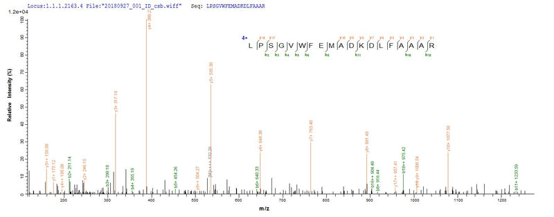 Based on the SEQUEST from database of E.coli host and target protein, the LC-MS/MS Analysis result of this product could indicate that this peptide derived from E.coli-expressed Escherichia coli traY.