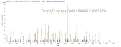 Based on the SEQUEST from database of E.coli host and target protein, the LC-MS/MS Analysis result of this product could indicate that this peptide derived from E.coli-expressed Escherichia coli traY.