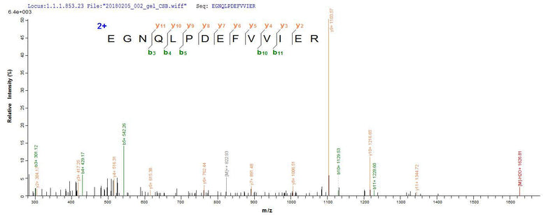 Based on the SEQUEST from database of E.coli host and target protein, the LC-MS/MS Analysis result of this product could indicate that this peptide derived from E.coli-expressed Streptococcus pneumoniae serotype 4 (strain ATCC BAA-334 / TIGR4) ply.