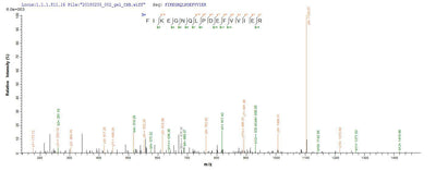 Based on the SEQUEST from database of E.coli host and target protein, the LC-MS/MS Analysis result of this product could indicate that this peptide derived from E.coli-expressed Streptococcus pneumoniae serotype 4 (strain ATCC BAA-334 / TIGR4) ply.