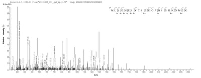 Based on the SEQUEST from database of E.coli host and target protein, the LC-MS/MS Analysis result of this product could indicate that this peptide derived from E.coli-expressed Clostridium botulinum botB.