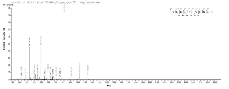 Based on the SEQUEST from database of E.coli host and target protein, the LC-MS/MS Analysis result of this product could indicate that this peptide derived from E.coli-expressed Clostridium botulinum botB.