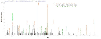 Based on the SEQUEST from database of E.coli host and target protein, the LC-MS/MS Analysis result of this product could indicate that this peptide derived from E.coli-expressed Vesicular stomatitis Indiana virus (strain Glasgow) (VSIV) N.