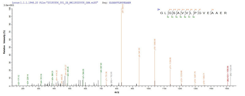 Based on the SEQUEST from database of E.coli host and target protein, the LC-MS/MS Analysis result of this product could indicate that this peptide derived from E.coli-expressed Streptomyces alboniger pac.