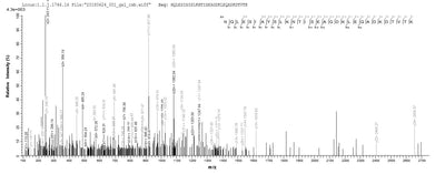 Based on the SEQUEST from database of E.coli host and target protein, the LC-MS/MS Analysis result of this product could indicate that this peptide derived from E.coli-expressed Saccharomyces cerevisiae (strain ATCC 204508 / S288c) (Baker's yeast) SSA1.