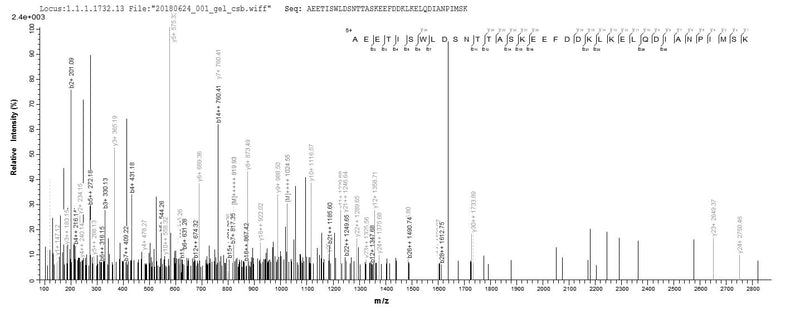 Based on the SEQUEST from database of E.coli host and target protein, the LC-MS/MS Analysis result of this product could indicate that this peptide derived from E.coli-expressed Saccharomyces cerevisiae (strain ATCC 204508 / S288c) (Baker&