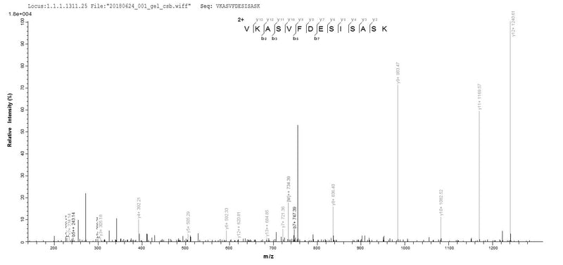 Based on the SEQUEST from database of E.coli host and target protein, the LC-MS/MS Analysis result of this product could indicate that this peptide derived from E.coli-expressed Yersinia enterocolitica ail.