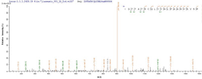 Based on the SEQUEST from database of E.coli host and target protein, the LC-MS/MS Analysis result of this product could indicate that this peptide derived from E.coli-expressed Bovine coronavirus (strain Mebus) (BCoV) (BCV) S.