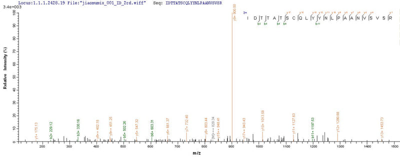 Based on the SEQUEST from database of E.coli host and target protein, the LC-MS/MS Analysis result of this product could indicate that this peptide derived from E.coli-expressed Bovine coronavirus (strain Mebus) (BCoV) (BCV) S.