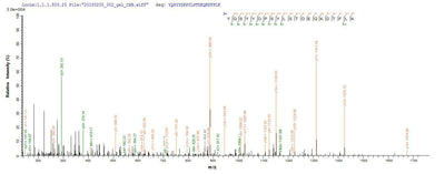 Based on the SEQUEST from database of E.coli host and target protein, the LC-MS/MS Analysis result of this product could indicate that this peptide derived from E.coli-expressed Clostridium botulinum botD.