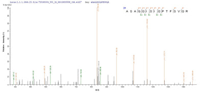 Based on the SEQUEST from database of E.coli host and target protein, the LC-MS/MS Analysis result of this product could indicate that this peptide derived from E.coli-expressed Influenza A virus (strain A/Fort Warren/1/1950 H1N1) NP.