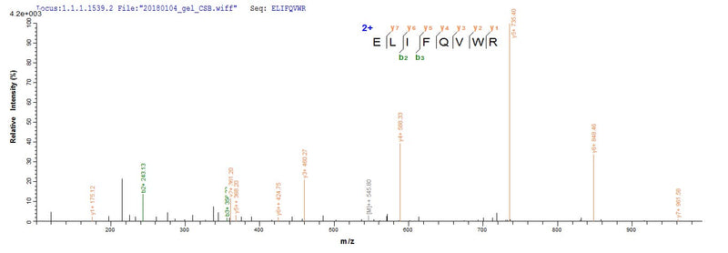 Based on the SEQUEST from database of E.coli host and target protein, the LC-MS/MS Analysis result of this product could indicate that this peptide derived from E.coli-expressed Simian immunodeficiency virus (isolate PBj14/BCL-3) (SIV-sm) (Simian immunodeficiency virus sooty mangabey monkey) vpx.