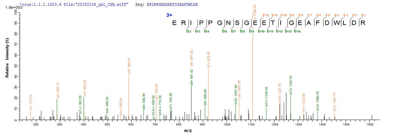 Based on the SEQUEST from database of E.coli host and target protein, the LC-MS/MS Analysis result of this product could indicate that this peptide derived from E.coli-expressed Simian immunodeficiency virus (isolate PBj14/BCL-3) (SIV-sm) (Simian immunodeficiency virus sooty mangabey monkey) vpx.