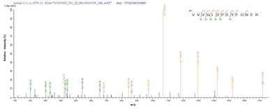 Based on the SEQUEST from database of E.coli host and target protein, the LC-MS/MS Analysis result of this product could indicate that this peptide derived from E.coli-expressed Burkholderia thailandensis (strain ATCC 700388 / DSM 13276 / CIP 106301 / E264) VACWR062.