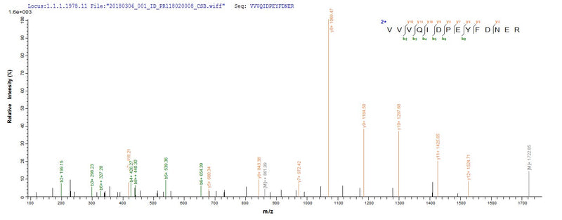 Based on the SEQUEST from database of E.coli host and target protein, the LC-MS/MS Analysis result of this product could indicate that this peptide derived from E.coli-expressed Burkholderia thailandensis (strain ATCC 700388 / DSM 13276 / CIP 106301 / E264) VACWR062.