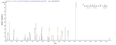 Based on the SEQUEST from database of E.coli host and target protein, the LC-MS/MS Analysis result of this product could indicate that this peptide derived from E.coli-expressed Burkholderia thailandensis (strain ATCC 700388 / DSM 13276 / CIP 106301 / E264) VACWR062.