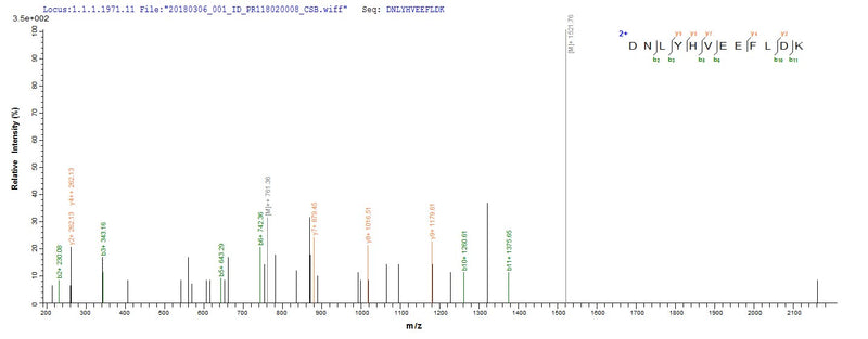 Based on the SEQUEST from database of E.coli host and target protein, the LC-MS/MS Analysis result of this product could indicate that this peptide derived from E.coli-expressed Burkholderia thailandensis (strain ATCC 700388 / DSM 13276 / CIP 106301 / E264) VACWR062.