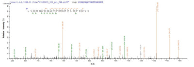 Based on the SEQUEST from database of E.coli host and target protein, the LC-MS/MS Analysis result of this product could indicate that this peptide derived from E.coli-expressed Zoarces americanus (Ocean pout) (Macrozoarces americanus) N/A.