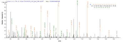 Based on the SEQUEST from database of E.coli host and target protein, the LC-MS/MS Analysis result of this product could indicate that this peptide derived from E.coli-expressed Zoarces americanus (Ocean pout) (Macrozoarces americanus) N/A.