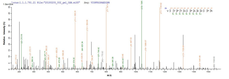 Based on the SEQUEST from database of E.coli host and target protein, the LC-MS/MS Analysis result of this product could indicate that this peptide derived from E.coli-expressed Zoarces americanus (Ocean pout) (Macrozoarces americanus) N/A.