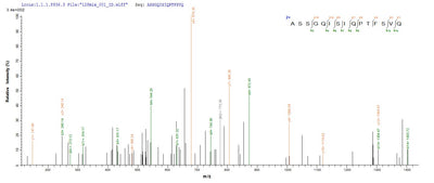 Based on the SEQUEST from database of E.coli host and target protein, the LC-MS/MS Analysis result of this product could indicate that this peptide derived from E.coli-expressed Influenza A virus (strain A/Wilson-Smith/1933 H1N1) NP.