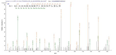 Based on the SEQUEST from database of E.coli host and target protein, the LC-MS/MS Analysis result of this product could indicate that this peptide derived from E.coli-expressed Influenza A virus (strain A/Equine/Prague/1/1956 H7N7) NP.