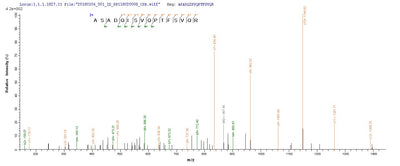 Based on the SEQUEST from database of E.coli host and target protein, the LC-MS/MS Analysis result of this product could indicate that this peptide derived from E.coli-expressed Influenza A virus (strain A/New Jersey/8/1976 H1N1) NP.