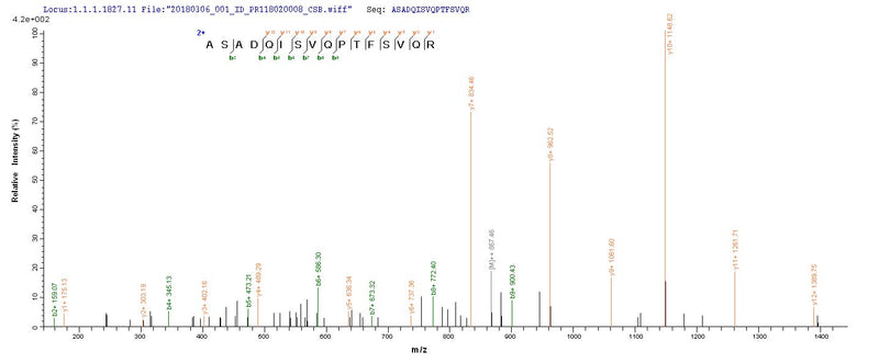 Based on the SEQUEST from database of E.coli host and target protein, the LC-MS/MS Analysis result of this product could indicate that this peptide derived from E.coli-expressed Influenza A virus (strain A/New Jersey/8/1976 H1N1) NP.