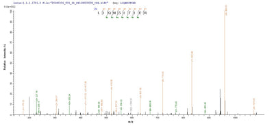 Based on the SEQUEST from database of E.coli host and target protein, the LC-MS/MS Analysis result of this product could indicate that this peptide derived from E.coli-expressed Influenza A virus (strain A/New Jersey/8/1976 H1N1) NP.