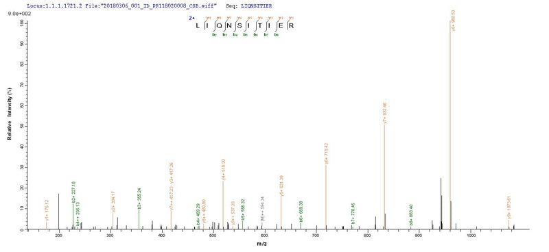 Based on the SEQUEST from database of E.coli host and target protein, the LC-MS/MS Analysis result of this product could indicate that this peptide derived from E.coli-expressed Influenza A virus (strain A/New Jersey/8/1976 H1N1) NP.