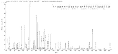 Based on the SEQUEST from database of E.coli host and target protein, the LC-MS/MS Analysis result of this product could indicate that this peptide derived from E.coli-expressed Streptomyces globisporus acm.