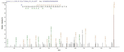 Based on the SEQUEST from database of E.coli host and target protein, the LC-MS/MS Analysis result of this product could indicate that this peptide derived from E.coli-expressed Chlamydia trachomatis ompA.