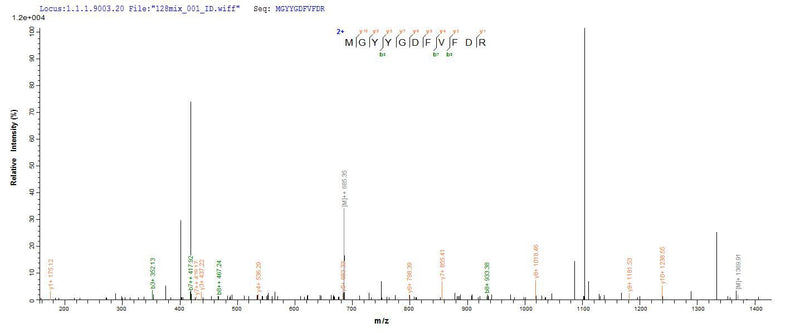 Based on the SEQUEST from database of E.coli host and target protein, the LC-MS/MS Analysis result of this product could indicate that this peptide derived from E.coli-expressed Chlamydia trachomatis ompA.