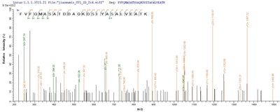 Based on the SEQUEST from database of E.coli host and target protein, the LC-MS/MS Analysis result of this product could indicate that this peptide derived from E.coli-expressed Crimean-Congo hemorrhagic fever virus (isolate C68031) (CCHFV) N.