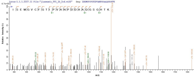 Based on the SEQUEST from database of E.coli host and target protein, the LC-MS/MS Analysis result of this product could indicate that this peptide derived from E.coli-expressed Crimean-Congo hemorrhagic fever virus (isolate C68031) (CCHFV) N.