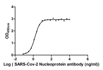 Activity Measured by its binding ability in a functional ELISA. Immobilized SARS-CoV-2-N at 2 μg/ml can bind SARS-CoV-2-N Antibody , the EC 50 of SARS-CoV-2-N protein is 1.368 -1.804 ng/ml.