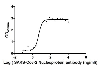 Activity Measured by its binding ability in a functional ELISA. Immobilized SARS-CoV-2-N at 2 μg/ml can bind SARS-CoV-2-N Antibody , the EC 50 of SARS-CoV-2-N protein is 4.267-5.568 ng/ml. Biological Activity Assay