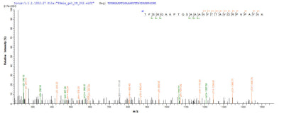 Based on the SEQUEST from database of E.coli host and target protein, the LC-MS/MS Analysis result of this product could indicate that this peptide derived from E.coli-expressed Chlamydia pneumoniae (Chlamydophila pneumoniae) ompA.