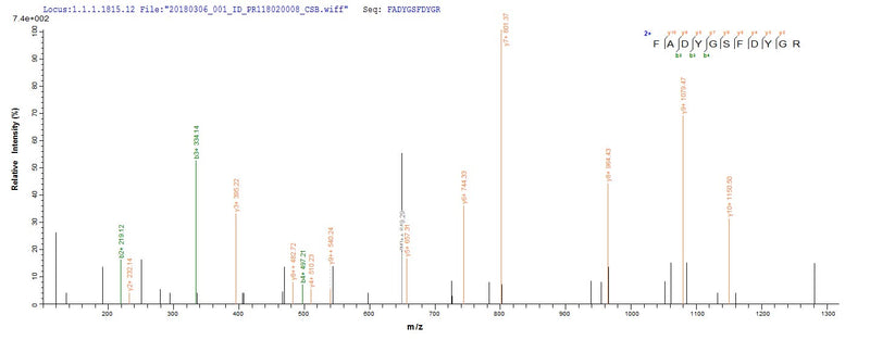 Based on the SEQUEST from database of E.coli host and target protein, the LC-MS/MS Analysis result of this product could indicate that this peptide derived from E.coli-expressed Salmonella typhimurium (strain LT2 / SGSC1412 / ATCC 700720) ompD.