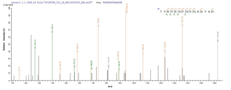 Based on the SEQUEST from database of E.coli host and target protein, the LC-MS/MS Analysis result of this product could indicate that this peptide derived from E.coli-expressed Salmonella typhimurium (strain LT2 / SGSC1412 / ATCC 700720) ompD.