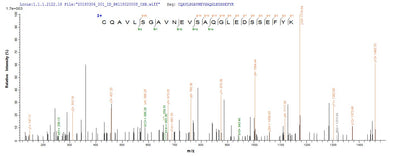 Based on the SEQUEST from database of E.coli host and target protein, the LC-MS/MS Analysis result of this product could indicate that this peptide derived from E.coli-expressed Saccharomyces cerevisiae (strain ATCC 204508 / S288c) (Baker