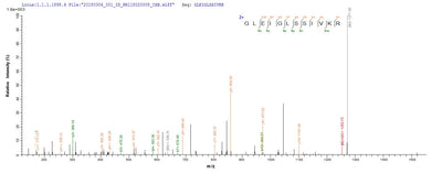 Based on the SEQUEST from database of E.coli host and target protein, the LC-MS/MS Analysis result of this product could indicate that this peptide derived from E.coli-expressed Saccharomyces cerevisiae (strain ATCC 204508 / S288c) (Baker