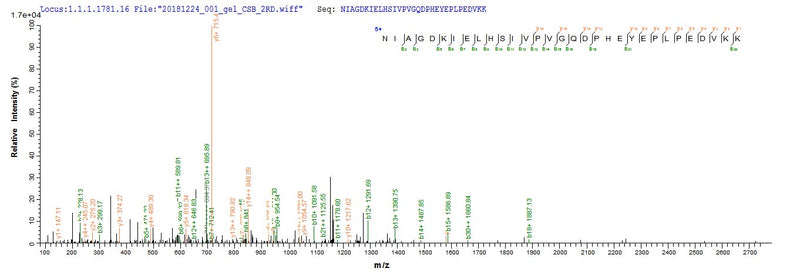 Based on the SEQUEST from database of E.coli host and target protein, the LC-MS/MS Analysis result of this product could indicate that this peptide derived from E.coli-expressed Streptococcus pneumoniae psaA.