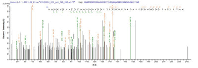 Based on the SEQUEST from database of E.coli host and target protein, the LC-MS/MS Analysis result of this product could indicate that this peptide derived from E.coli-expressed Streptococcus pneumoniae psaA.