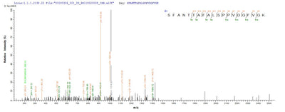 Based on the SEQUEST from database of E.coli host and target protein, the LC-MS/MS Analysis result of this product could indicate that this peptide derived from E.coli-expressed Saccharomyces cerevisiae (strain ATCC 204508 / S288c) (Baker's yeast) APE3.