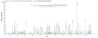 Based on the SEQUEST from database of E.coli host and target protein, the LC-MS/MS Analysis result of this product could indicate that this peptide derived from E.coli-expressed Helicobacter pylori (strain ATCC 700392 / 26695) (Campylobacter pylori) vacA.